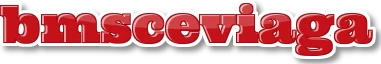 Logo bmsceviaga